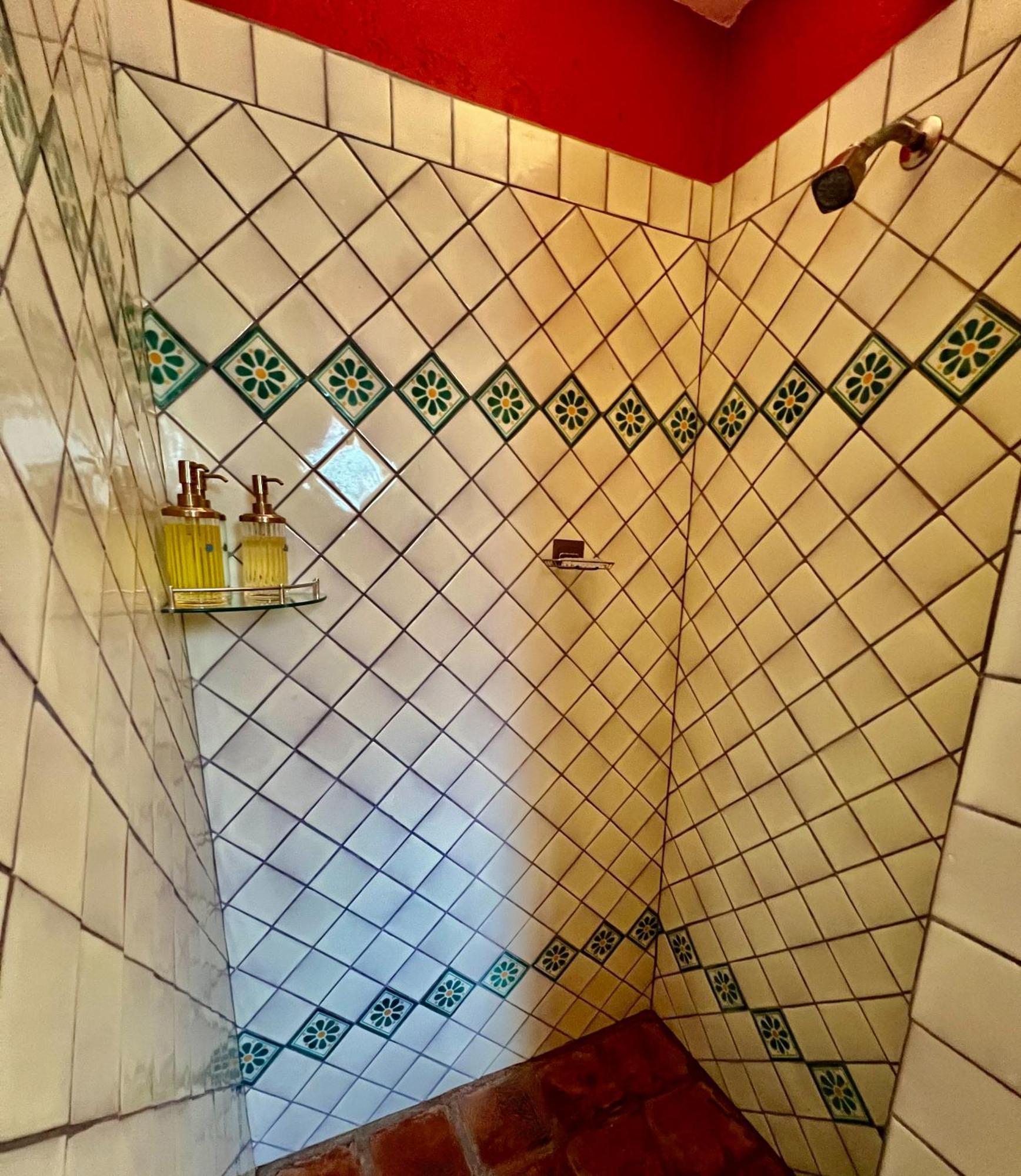 سان ميغيل دي الليندي Boutique Hotel Casa Camellia المظهر الخارجي الصورة