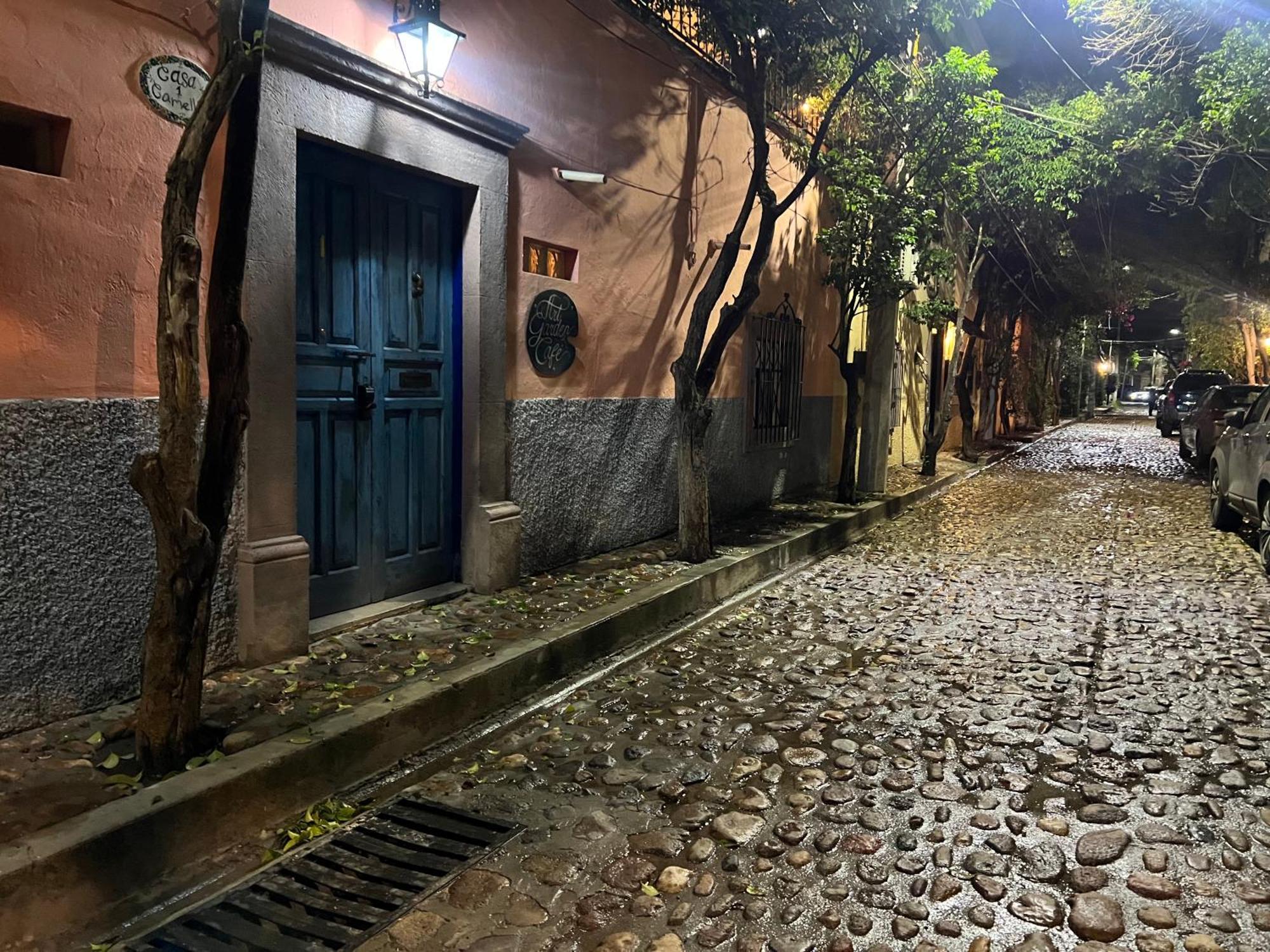 سان ميغيل دي الليندي Boutique Hotel Casa Camellia المظهر الخارجي الصورة