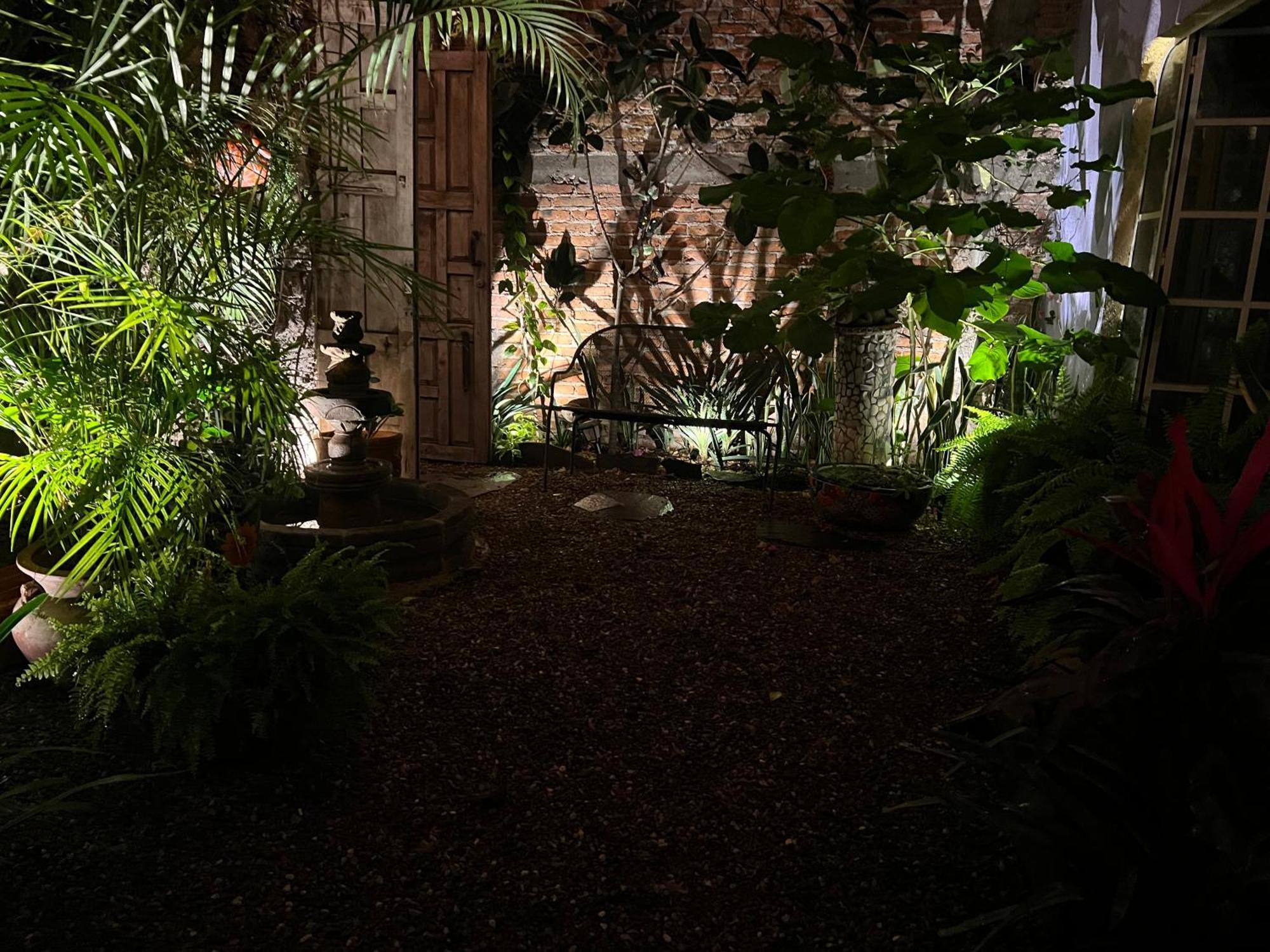 سان ميغيل دي الليندي Boutique Hotel Casa Camellia المظهر الخارجي الصورة