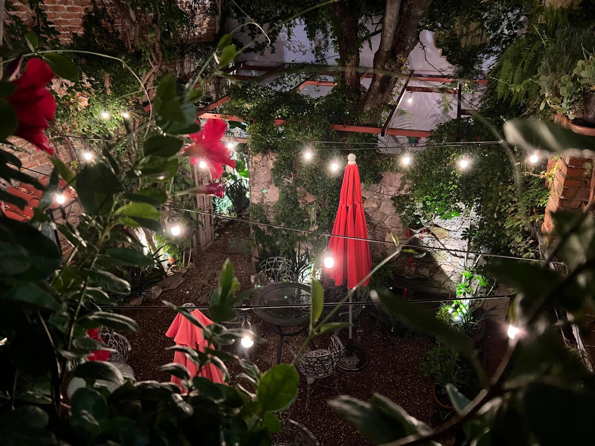 سان ميغيل دي الليندي Boutique Hotel Casa Camellia المظهر الخارجي الصورة