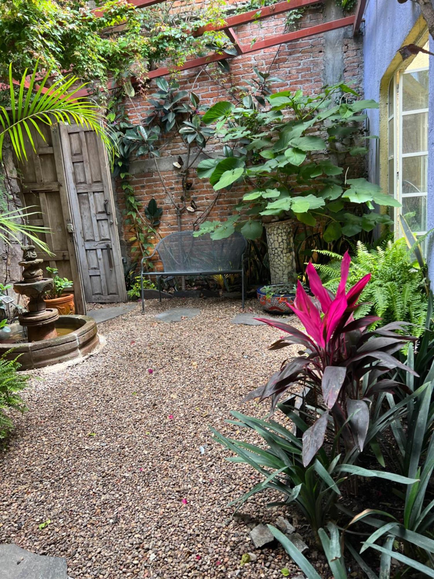 سان ميغيل دي الليندي Boutique Hotel Casa Camellia المظهر الخارجي الصورة