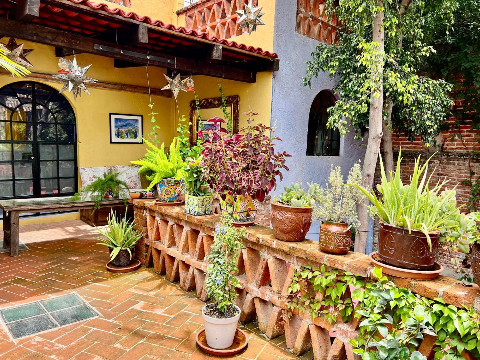 سان ميغيل دي الليندي Boutique Hotel Casa Camellia المظهر الخارجي الصورة