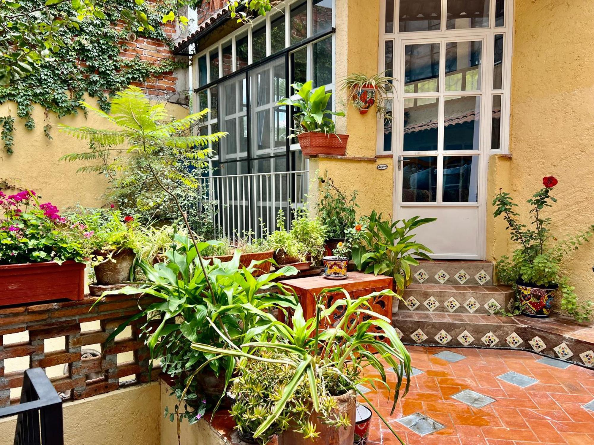 سان ميغيل دي الليندي Boutique Hotel Casa Camellia المظهر الخارجي الصورة